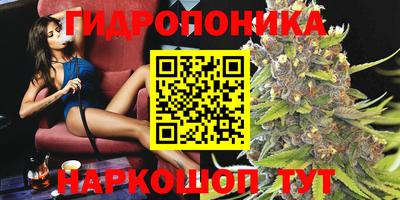 дмт Вышний Волочёк