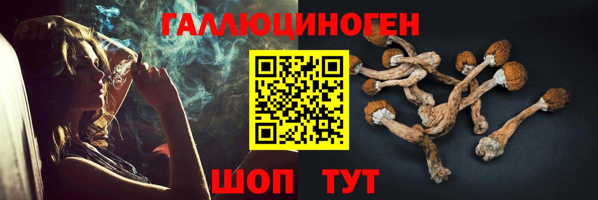Псилоцибиновые грибы Psilocybe Анапа
